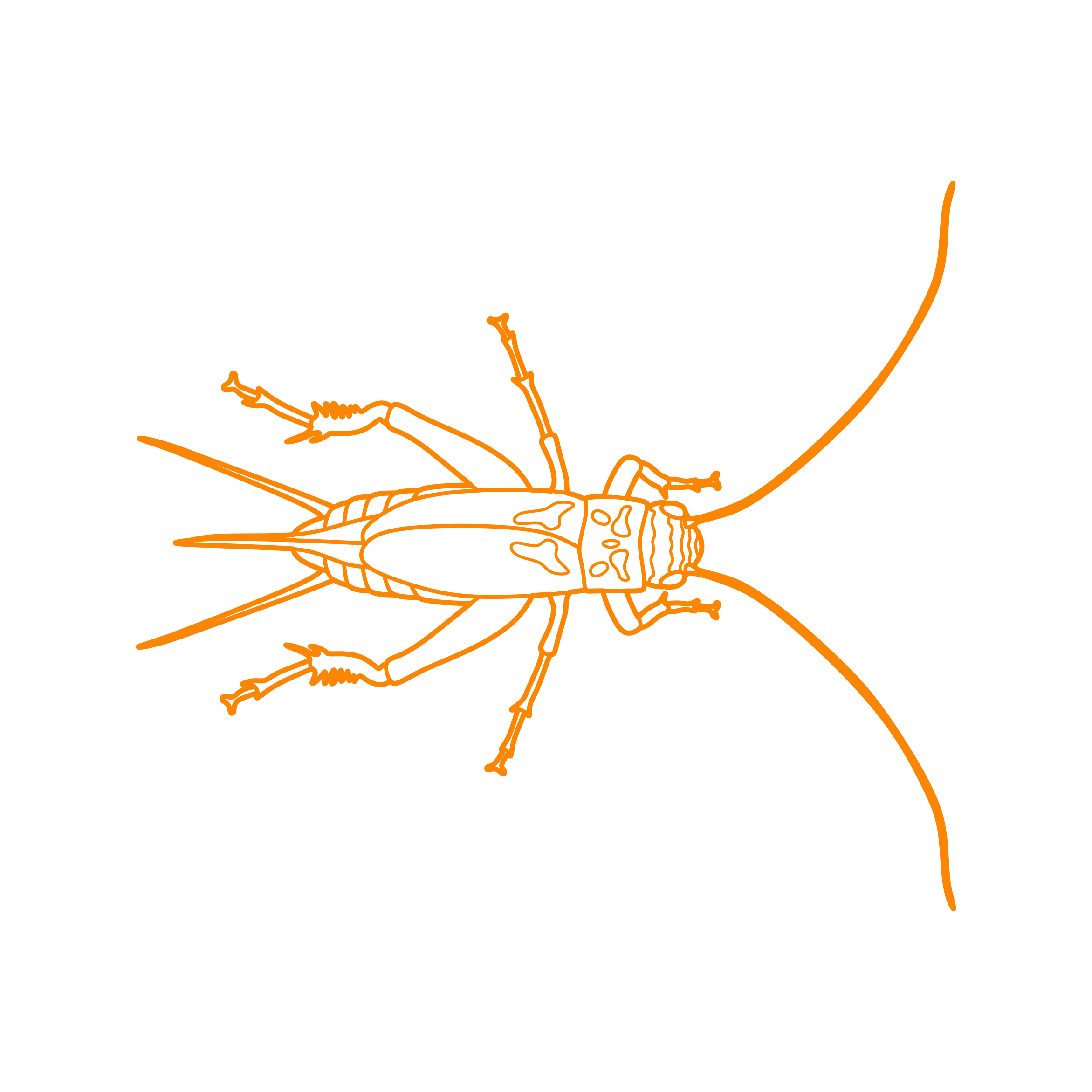 Animals Insects House Cricket Outline Svg File Free Vectors